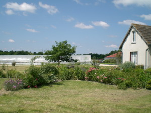 cimg2314_1.JPG