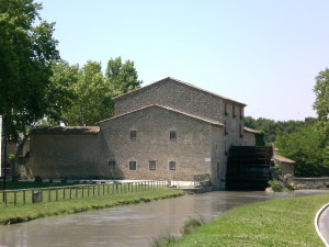 cimg2638_1.JPG